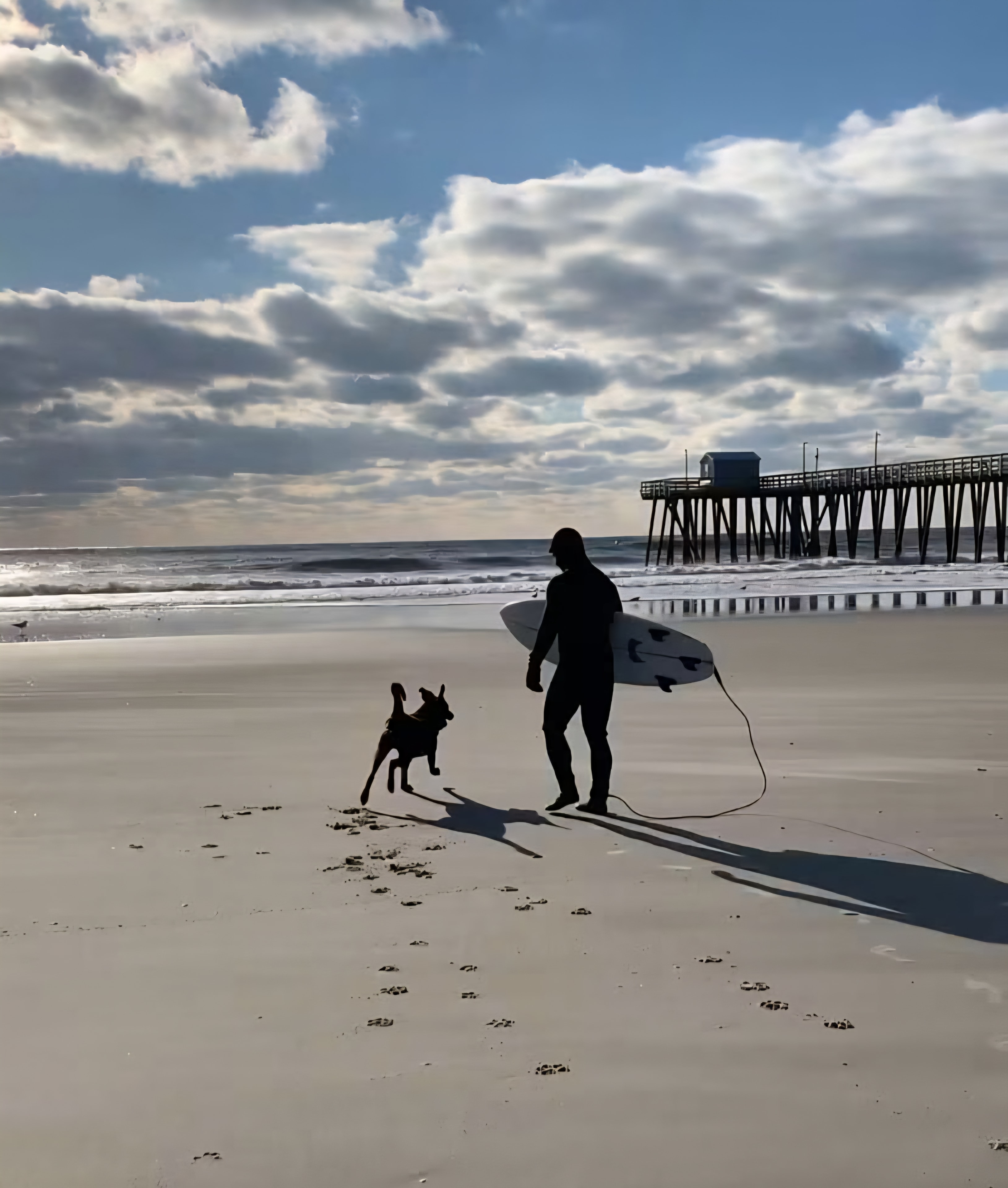 Surfer with dog on the beach near a pier